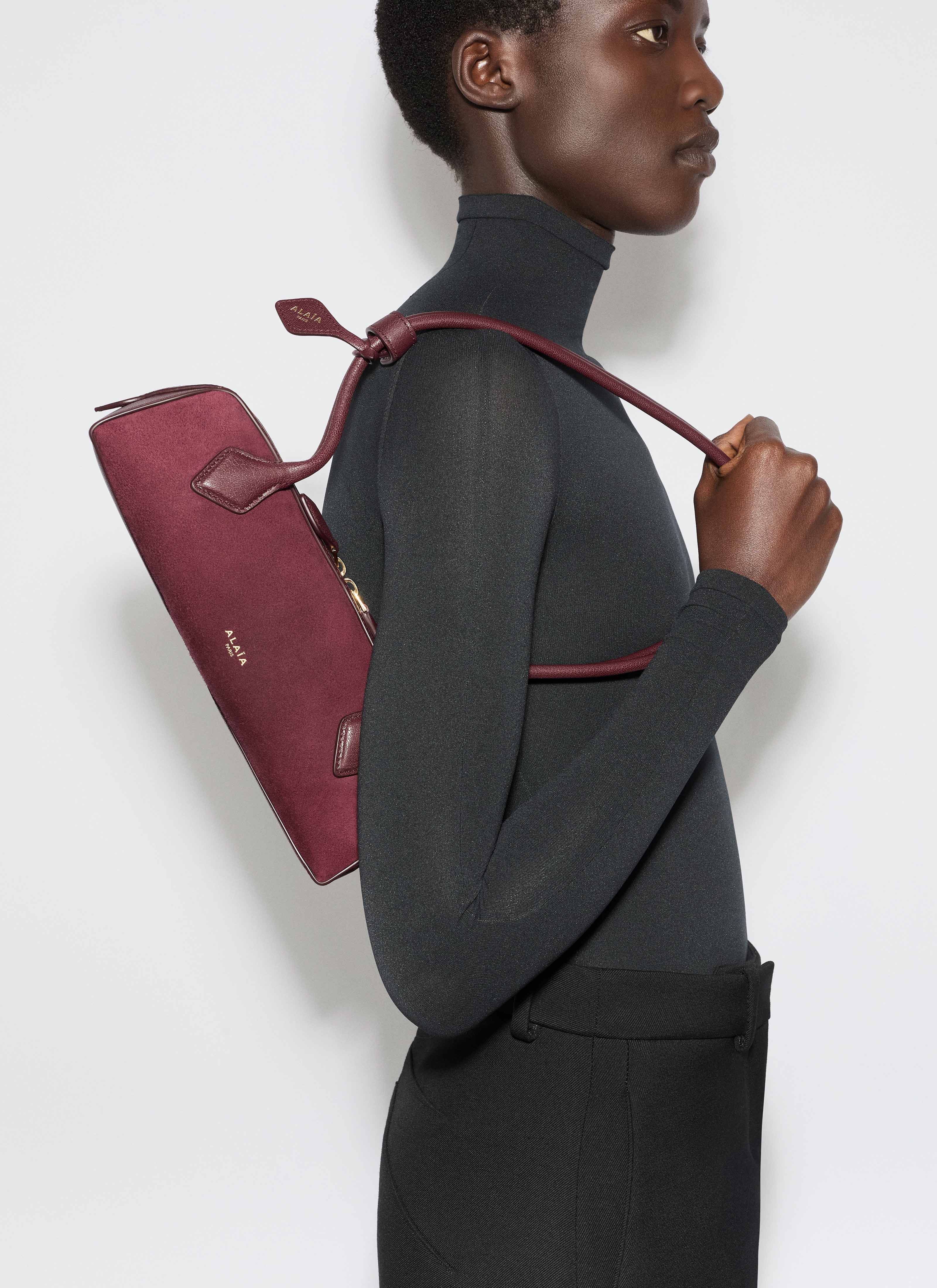 ALAÏA DARK RED LE TECKEL SMALL BI-MATERIAL BAG IN LEATHER