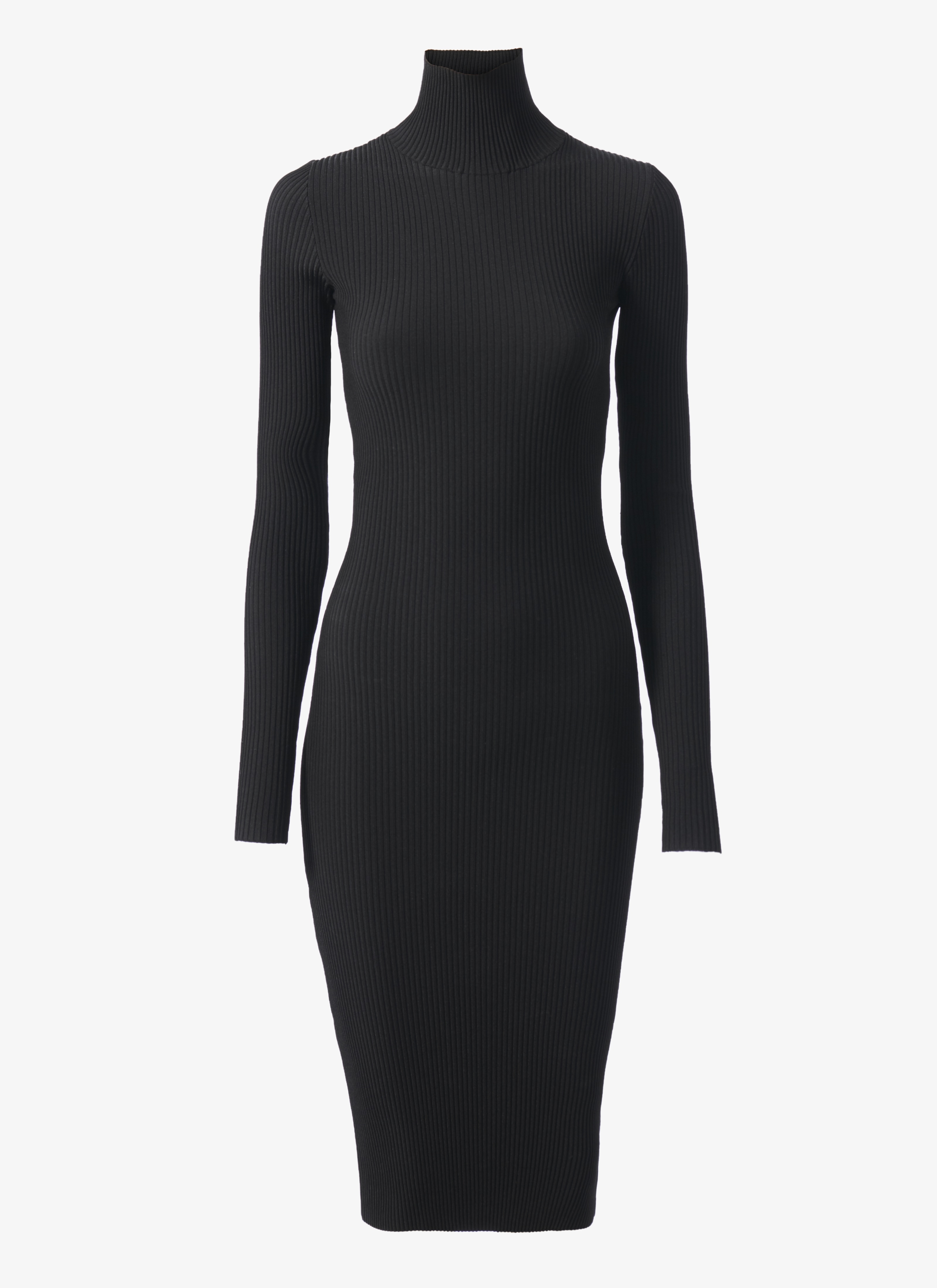 Turtleneck Ribbed Dress