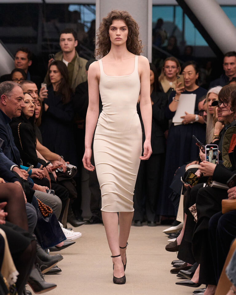ALAÏA LE TECKEL シャイニーゴートスキン製 ミディアムバッグ 