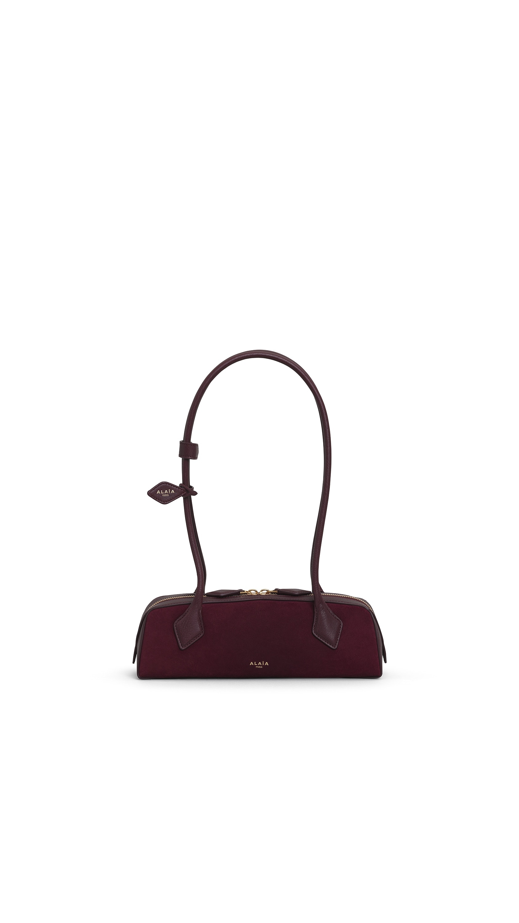 LE TECKEL SMALL BI-MATERIAL BAG IN LEATHER