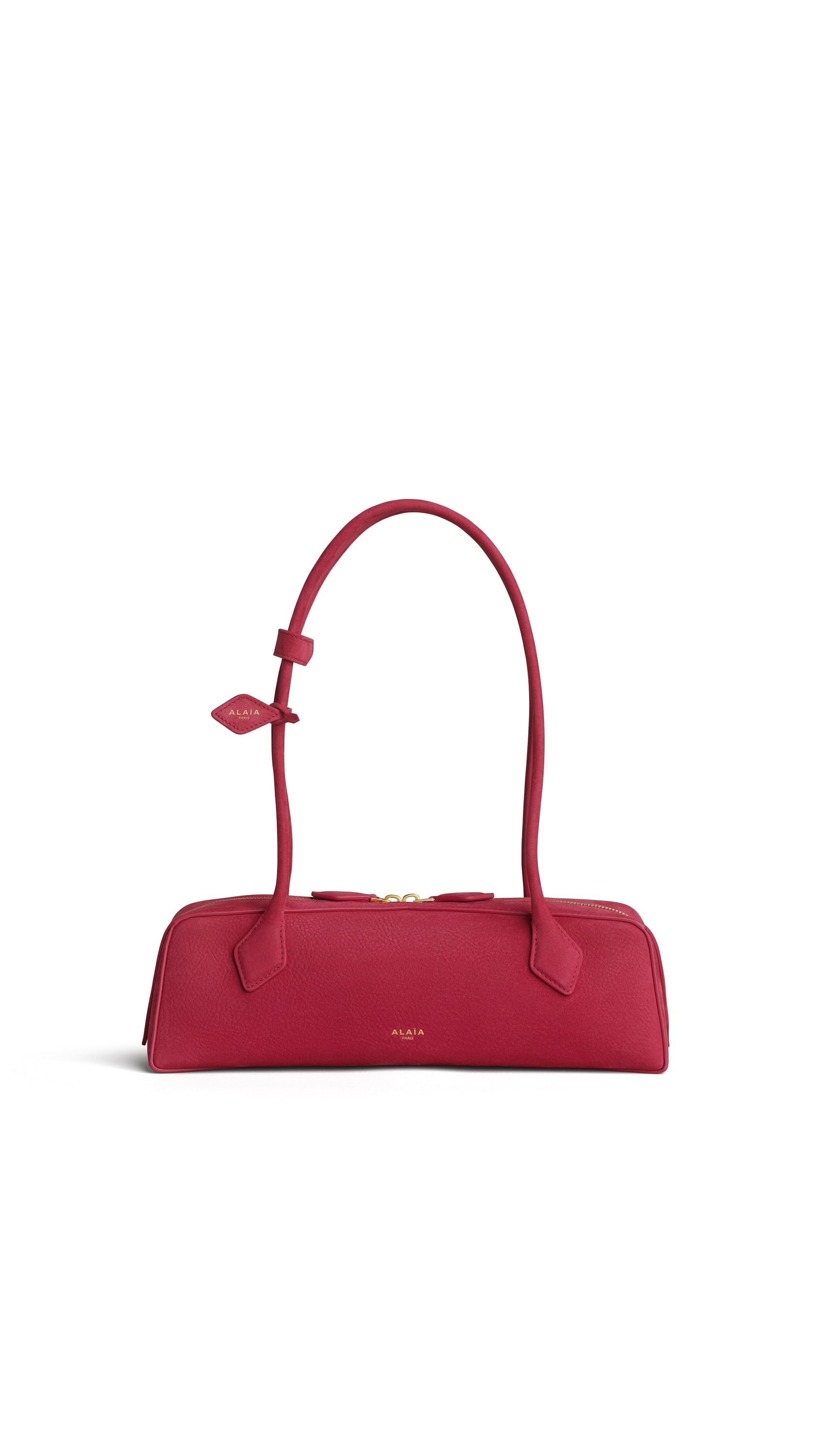 LE TECKEL MEDIUM BAG IN NUBUCK